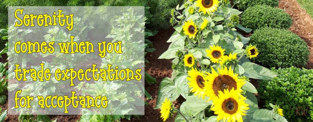 Serenity comes when you trade expectations for acceptance