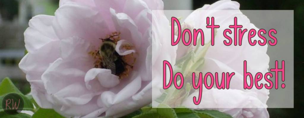 Don't stress. Do your best!