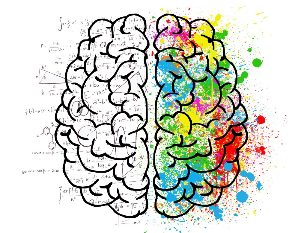image of brain showing left logical and right creative