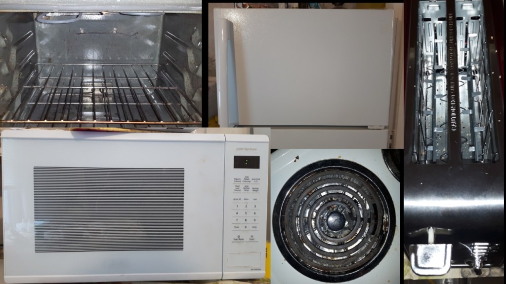 Images of the inside of an oven, a microwave, fridge, stove element and top view of a toaster.